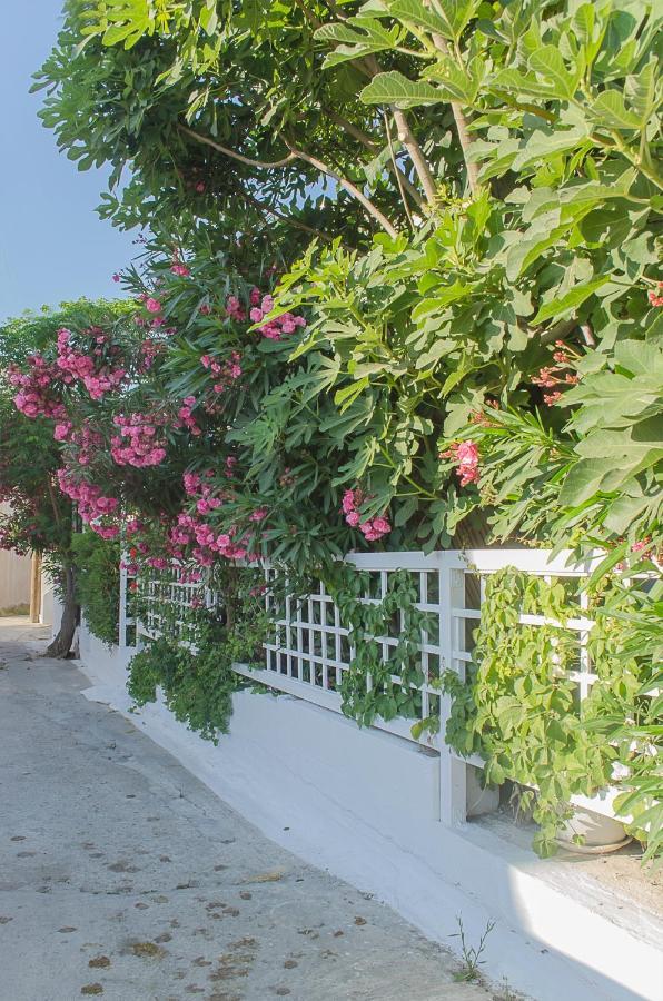Kalypso Studios & Rooms Palaiochora Exterior photo